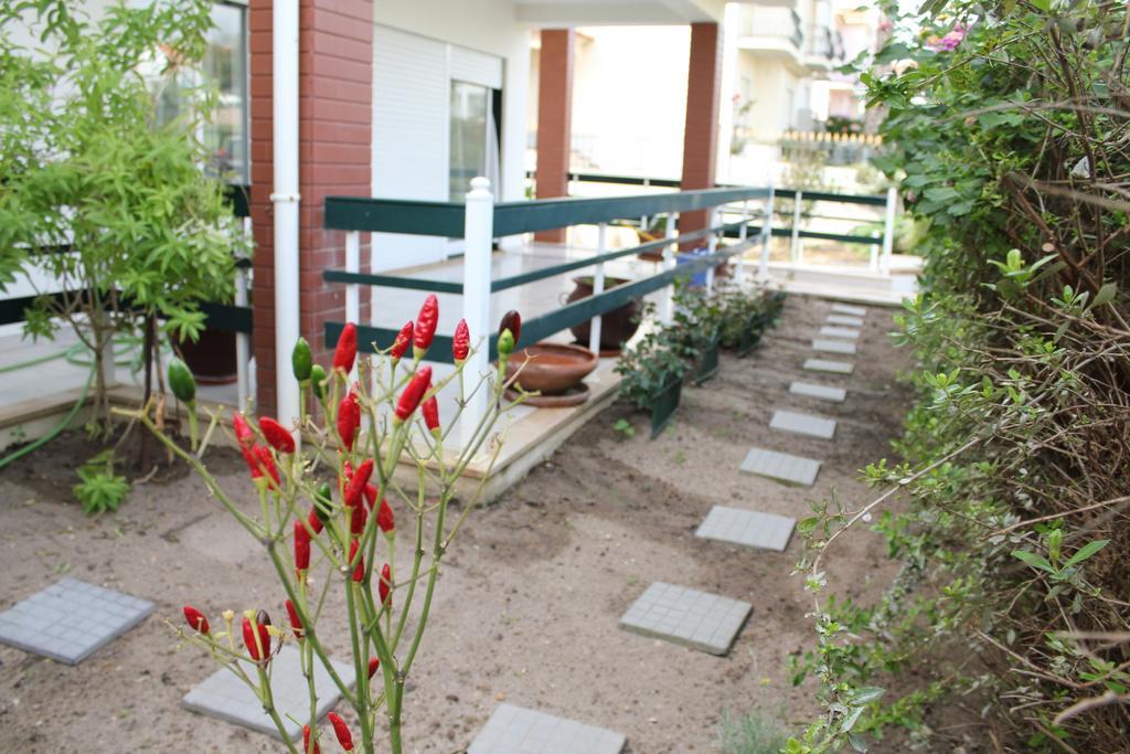 Canas Beach House - Al Арея-Бранка Экстерьер фото